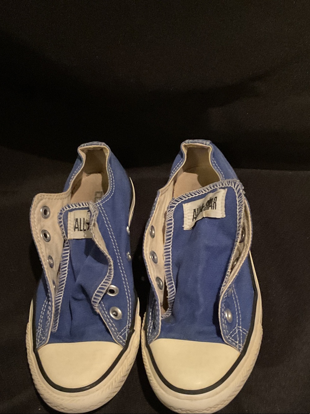 Converse Low-Top Canvas Sneakers in Blue and White